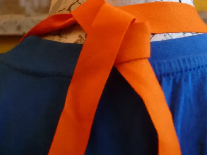 Tablier 6 ans DINOSAURES vert menthe 5 atelier-béarnais