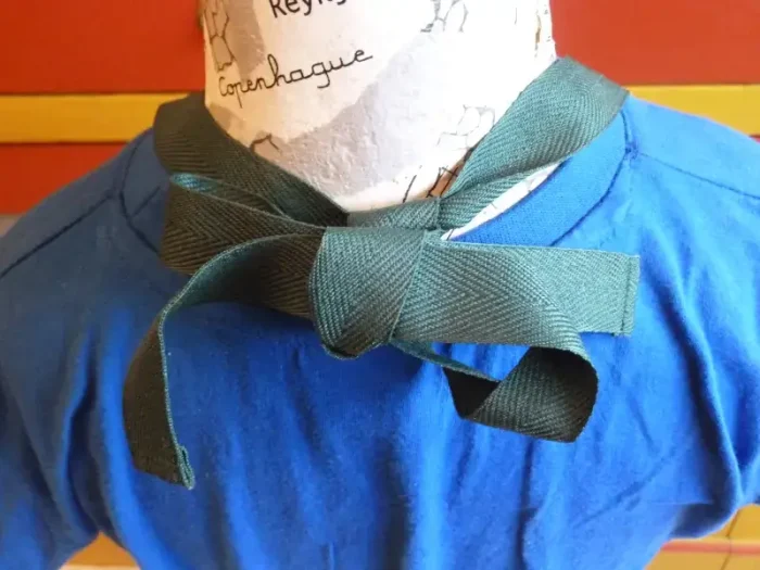 Tablier 5 ans brodé AGNEAU ET BREBIS en VALLEE D_OSSAU vert sapin 4 atelier-bearnais